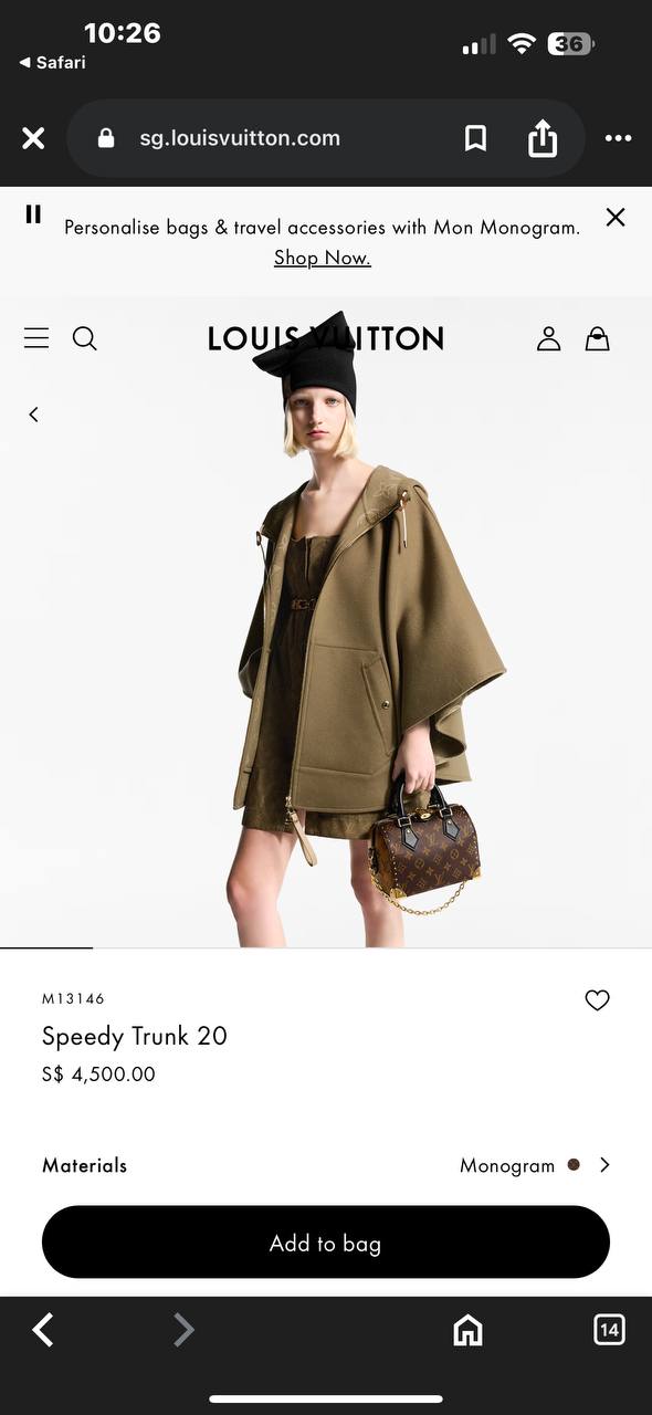 Louis Vuitton