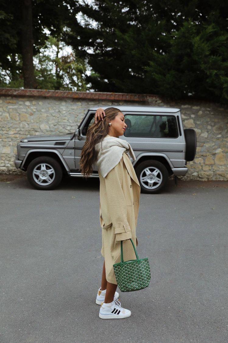 Goyard